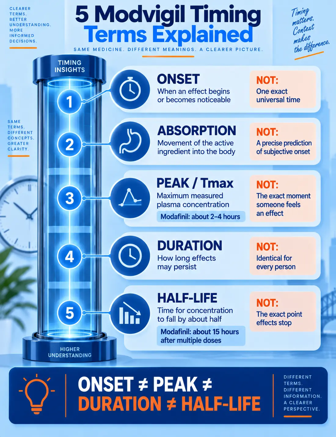 Mobile Modvigil timing guide explaining onset, absorption, peak or Tmax, duration and modafinil half-life
