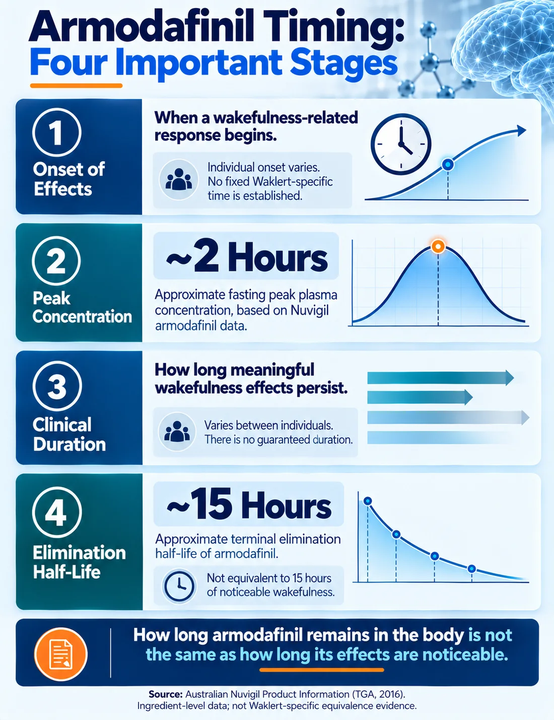 Mobile infographic explaining armodafinil onset, peak concentration, clinical duration and half-life
