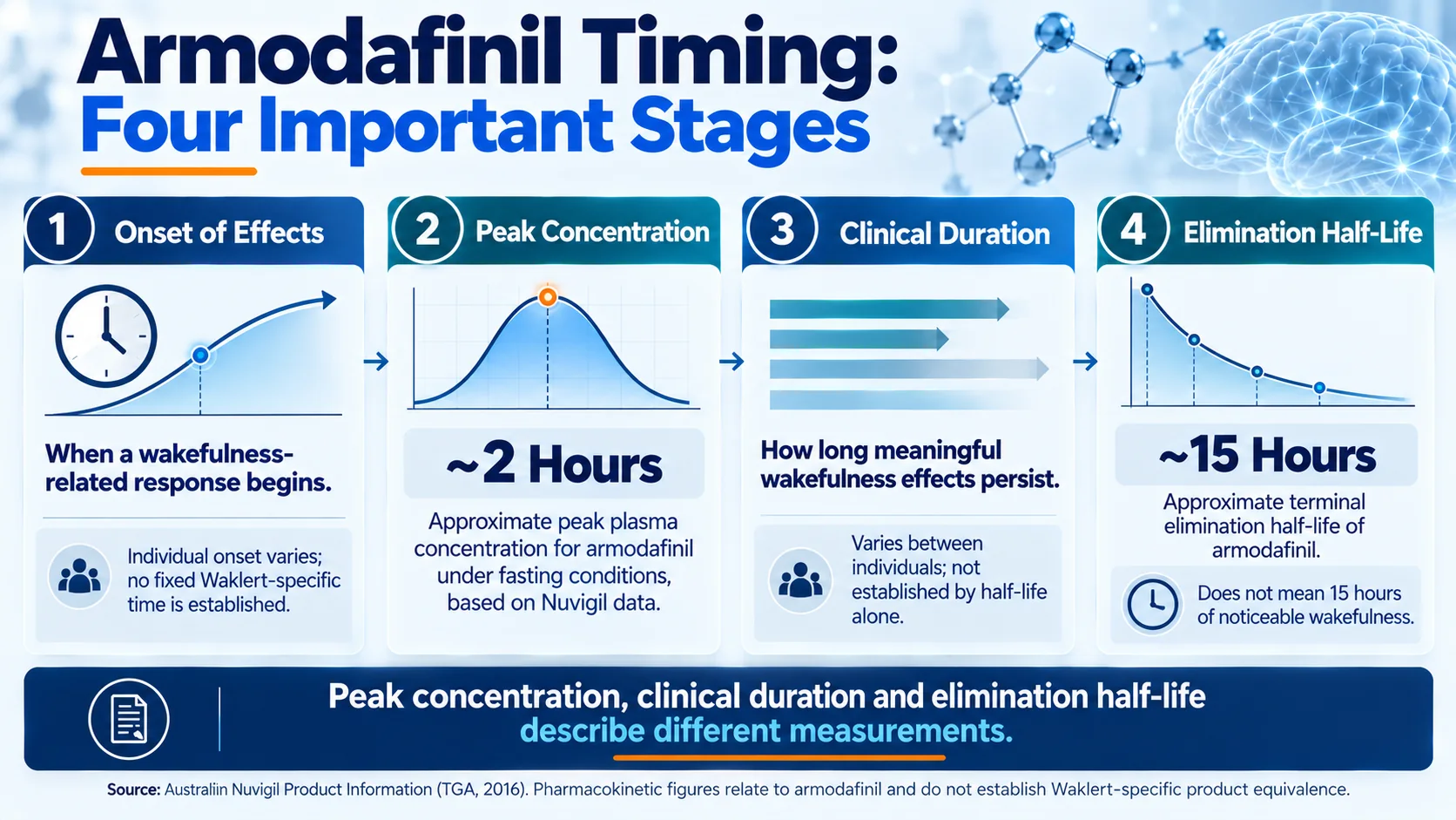 Diagram comparing armodafinil onset, peak concentration, clinical duration and elimination half-life